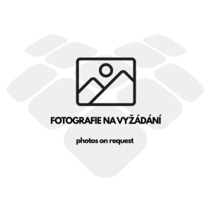 Zástupný symbol